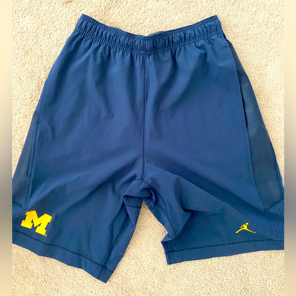 Mens Jordan Michigan shorts